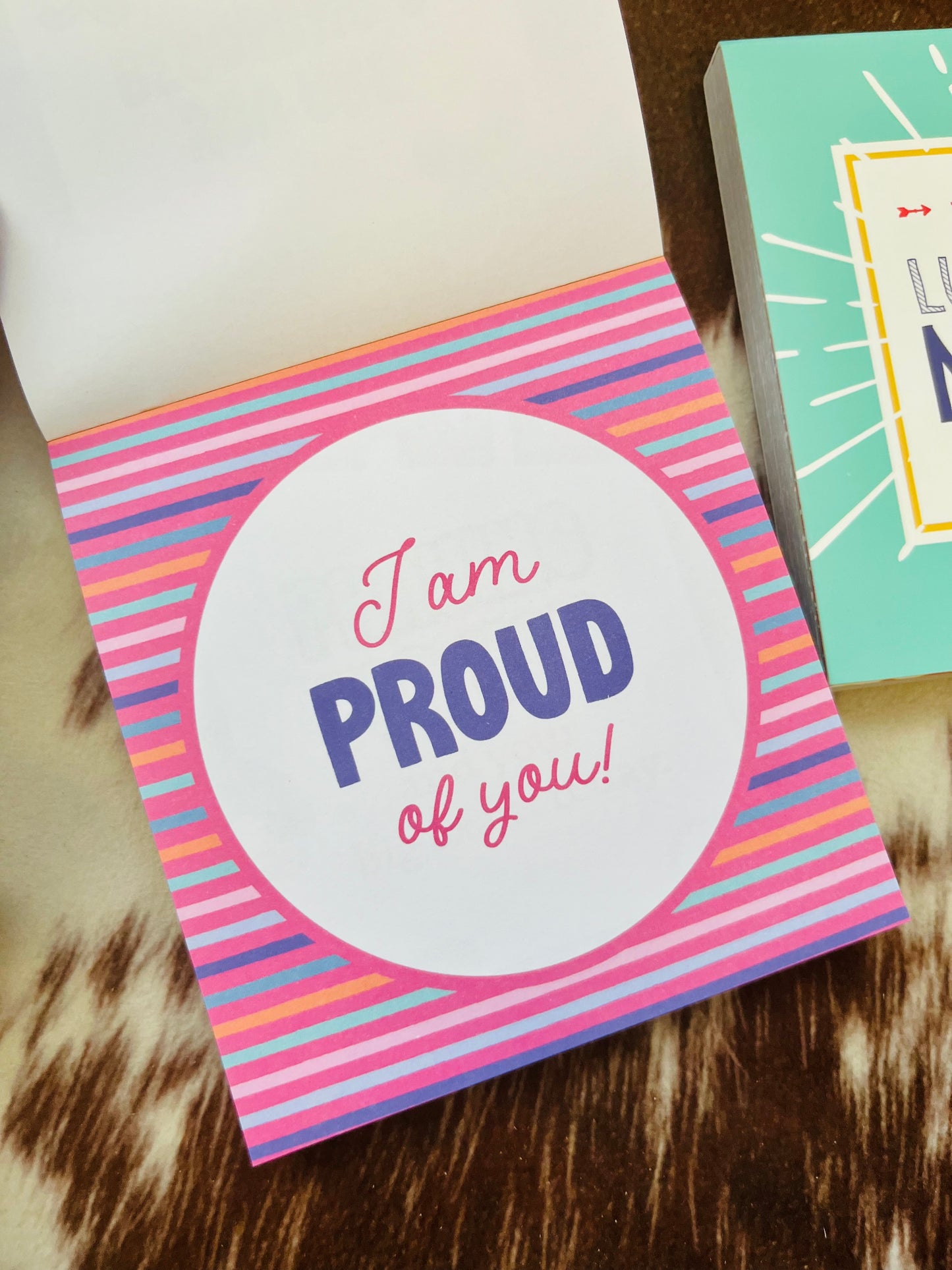 101 Shine for Jesus Lunchbox Notes